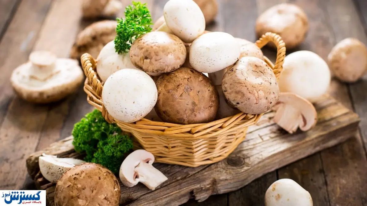 قیمت قارچ اعلام شد (۲۳ دی)