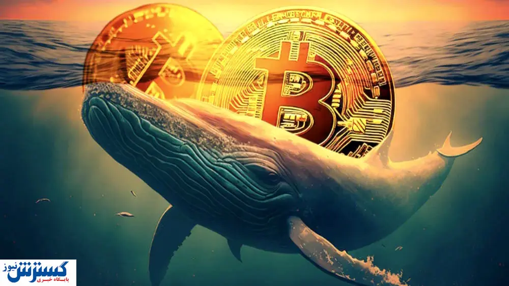 نهنگ ها برای مراسم تحلیف ترامپ کدام ارز دیجیتال را خریدند؟