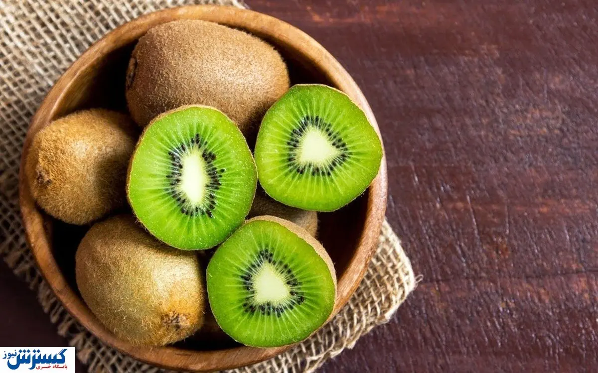قیمت کیوی شگفت انگیز شد | گرانی بی سابقه در بازار میوه