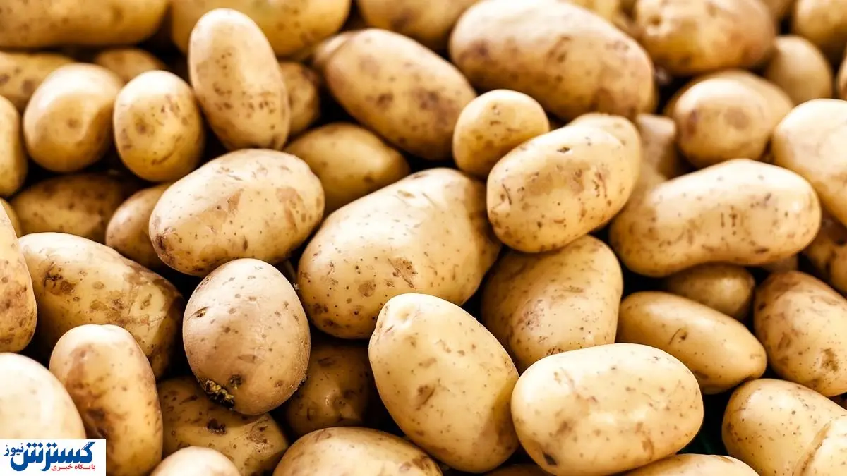 عرضه کالاهای تنظیم بازاری با ارز ۷۰ هزار تومانی!