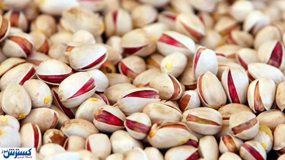 قیمت پسته اکبری میلیونی شد |قیمت انواع آجیل و خشکبار ( پنجشنبه ۱۶ اسفند)