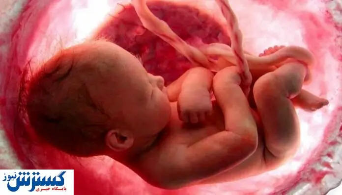 درآمد ۹۰۰ میلیونی زنان ایرانی در بازار سیاه ممنوعه !