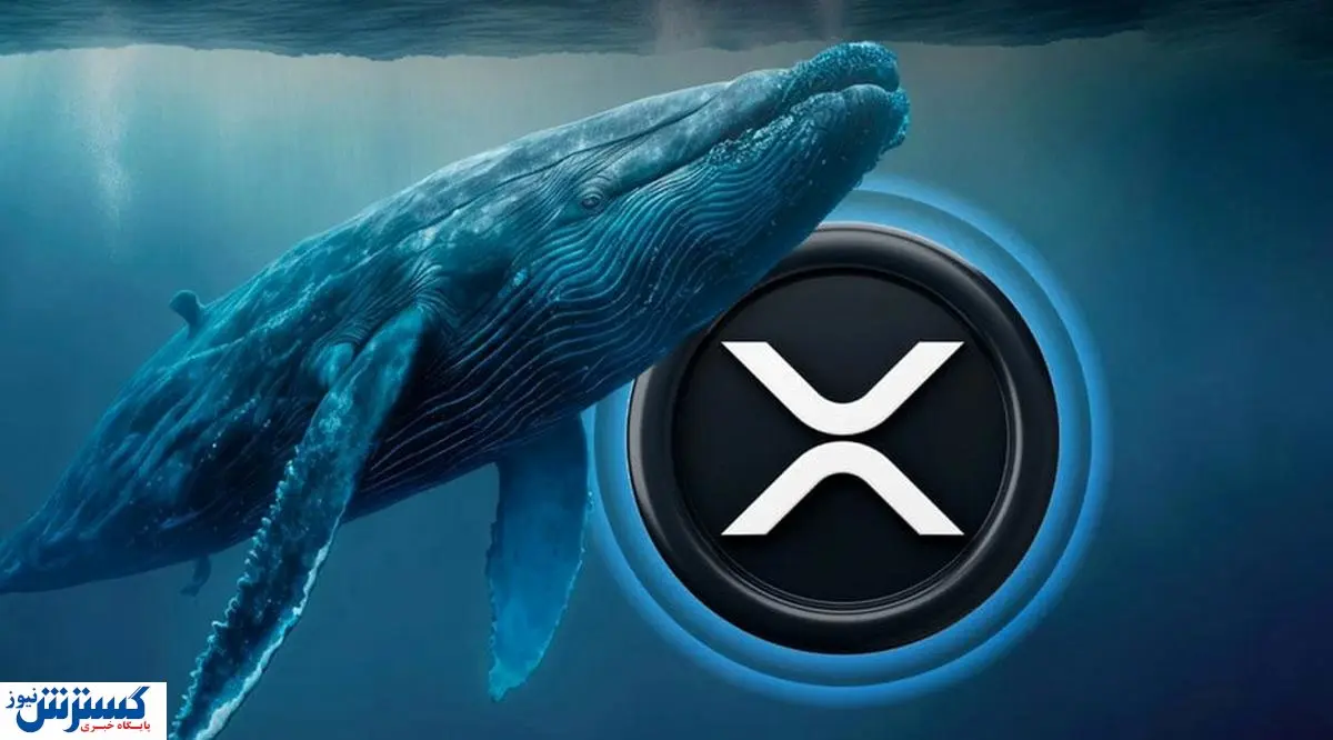 سیگنال ترامپ به خریداران رمز ارز | دارندگان این ارزهای دیجیتال پولدار می‌شوند