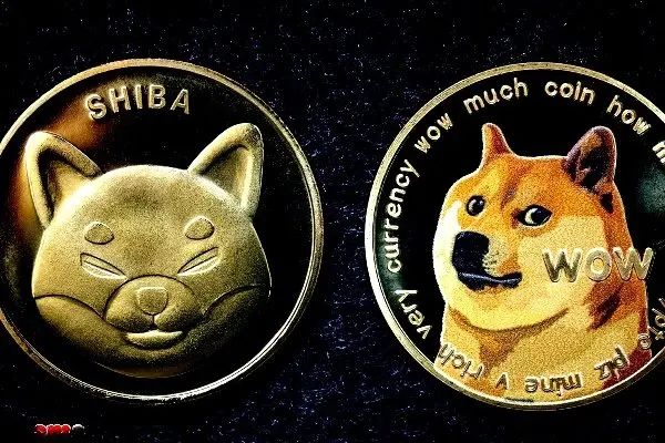 مقایسه دوج کوین و شیبا اینو | کدام ارز دیجیتال آینده بهتری دارد؟