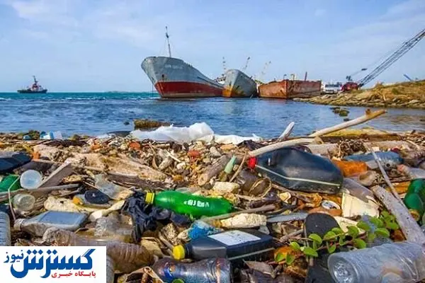 پسابهای نفتی و میکروپلاستیکها بلای جان آبزیان / تهدیدی به نام میکروپلاستیکها در دریا