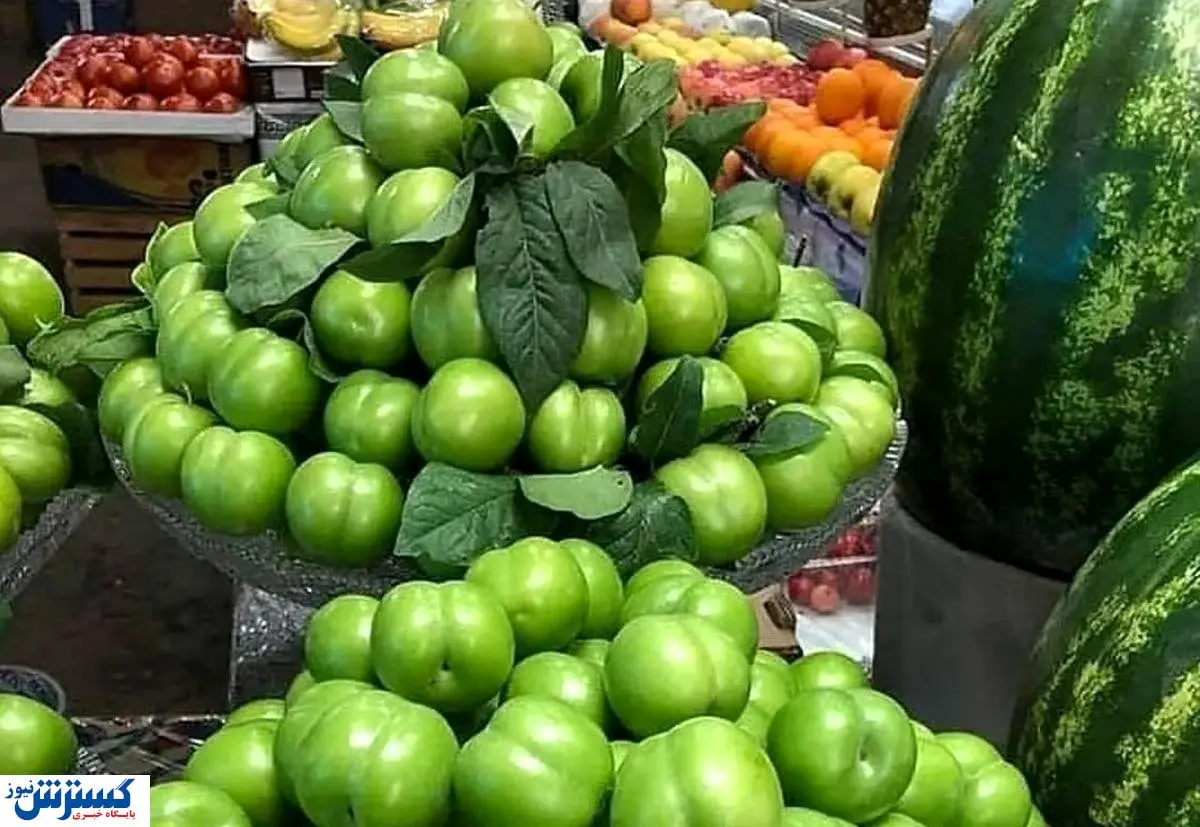 کاهش قیمت میوه به ضرر کشاورز است! / گوجه سبز ارزان شد؟