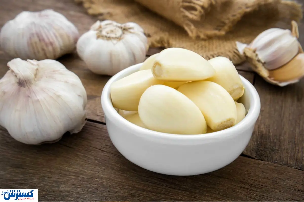 سبزی بدبویی که محبوب شد / سیر خام چند فروخته می شود؟