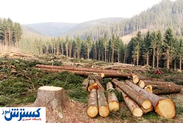 داد زمین درآمد