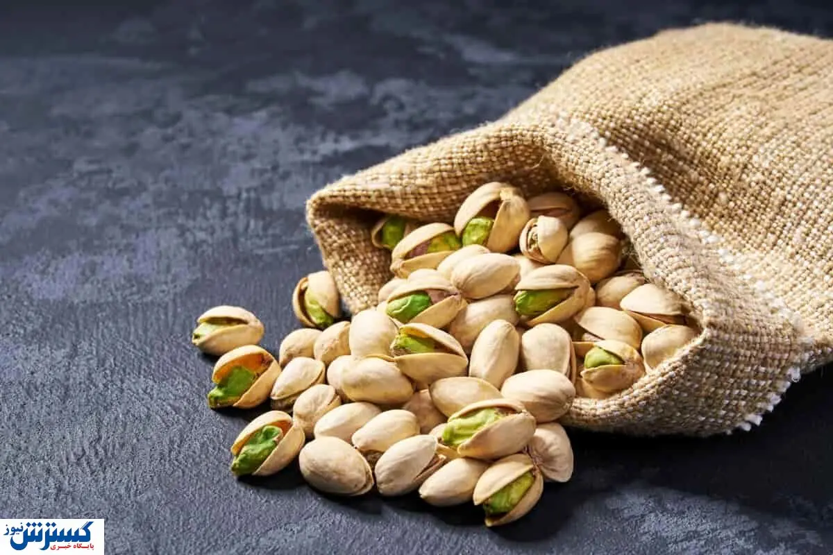 ۱ میلیارد دلار درآمد کشور از صادرات پسته | طلای سبز ایران رقیب پیدا کرد
