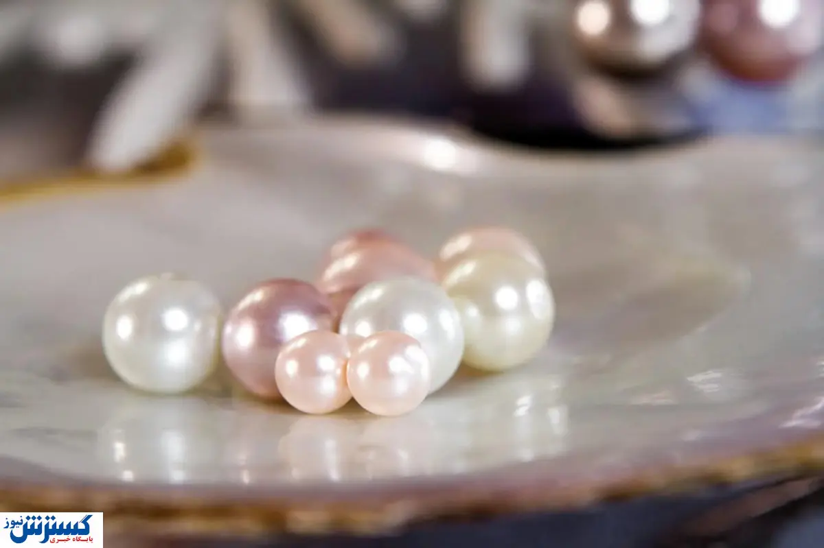 قیمت مروارید اصل طبیعی | در زمان خرید جواهرات به این نکات توجه کنید