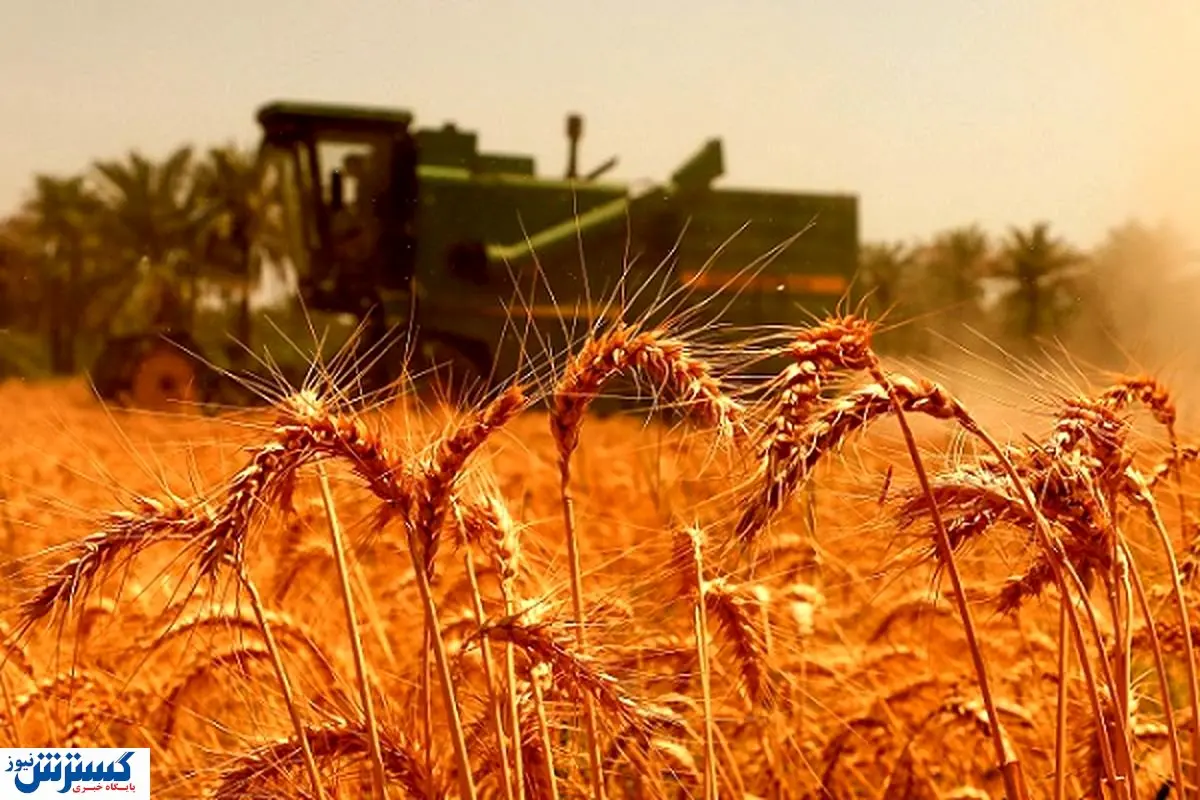 دروگر گندم با قیمت میلیونی! | کشاورزی آسان تر اما گران تر