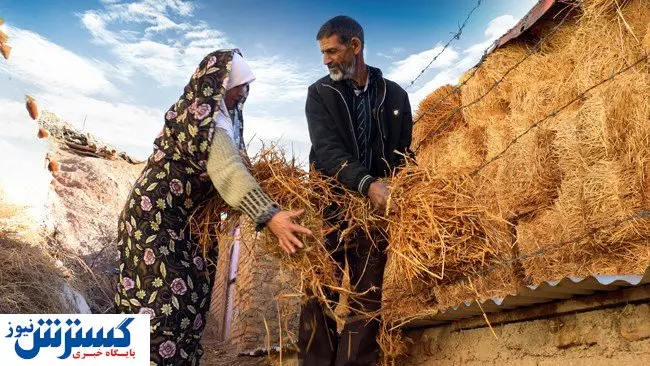 انتظار به پایان رسید | جیب کشاورزان پر پول میشود !