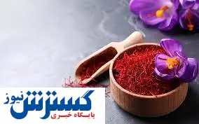 قیمت ۱۴۰۳ طلای سرخ اعلام شد | هر مثقال زعفران ۵۰۰ هزار تومان