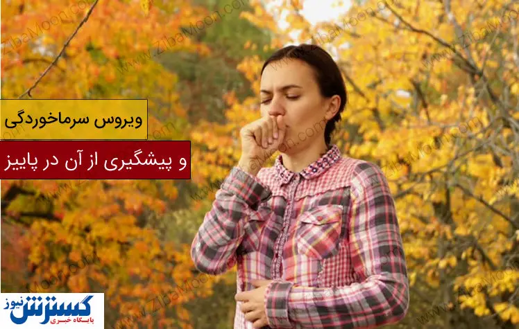 سپر دفاعی بدن در برابر سرماخوردگی | راز سلامتی در پاییز چیست؟