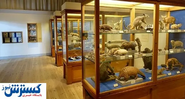 موزه‌های عجیب و غریب دنیا | از موزه موز تا توالت! + تصاویر