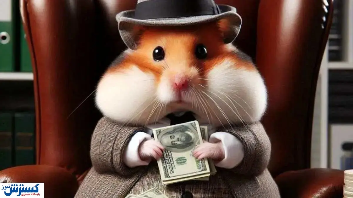 این خبر همستر بازان را به کما برد ! | قیمت همستر کامبت چقدر شد ؟