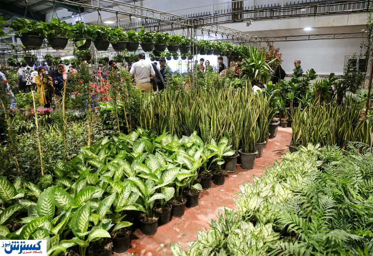 گردهمایی بزرگ فعالان گل و گیاه | نمایشگاه یزد میزبانی می کند