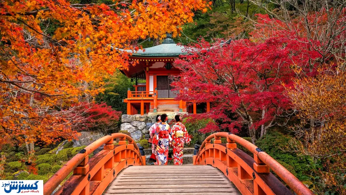 قیمت تور ژاپن در پاییز ۱۴۰۳ | سفر به سرزمین شکوفه های گیلاس چقدر آب می خورد؟