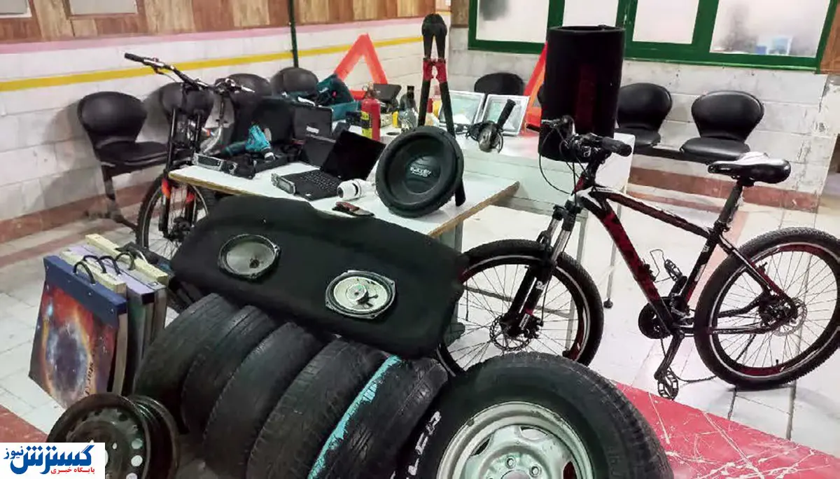 کشف انبوهی از اموال سرقتی | مالخر سابقه دار دوباره دستگیر شد