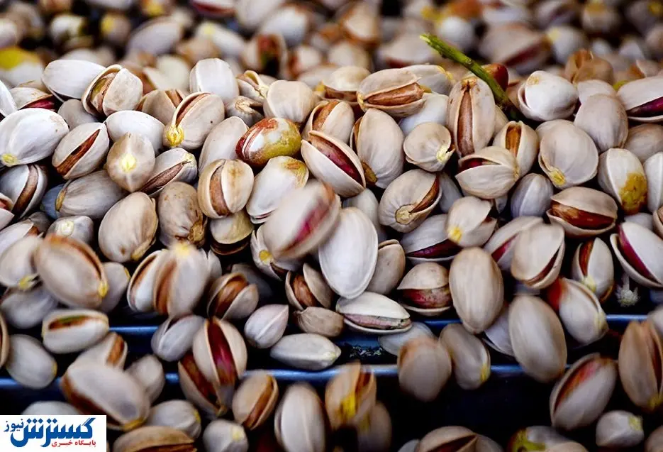 دشمنی اتحادیه اروپا با کشاورزان | پسته ایران تحریم شد