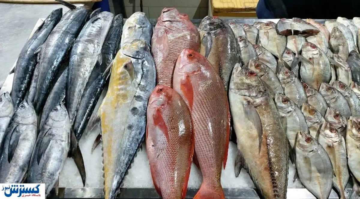 قیمت جدید ماهی اعلام شد (۱ آذر ۱۴۰۳)