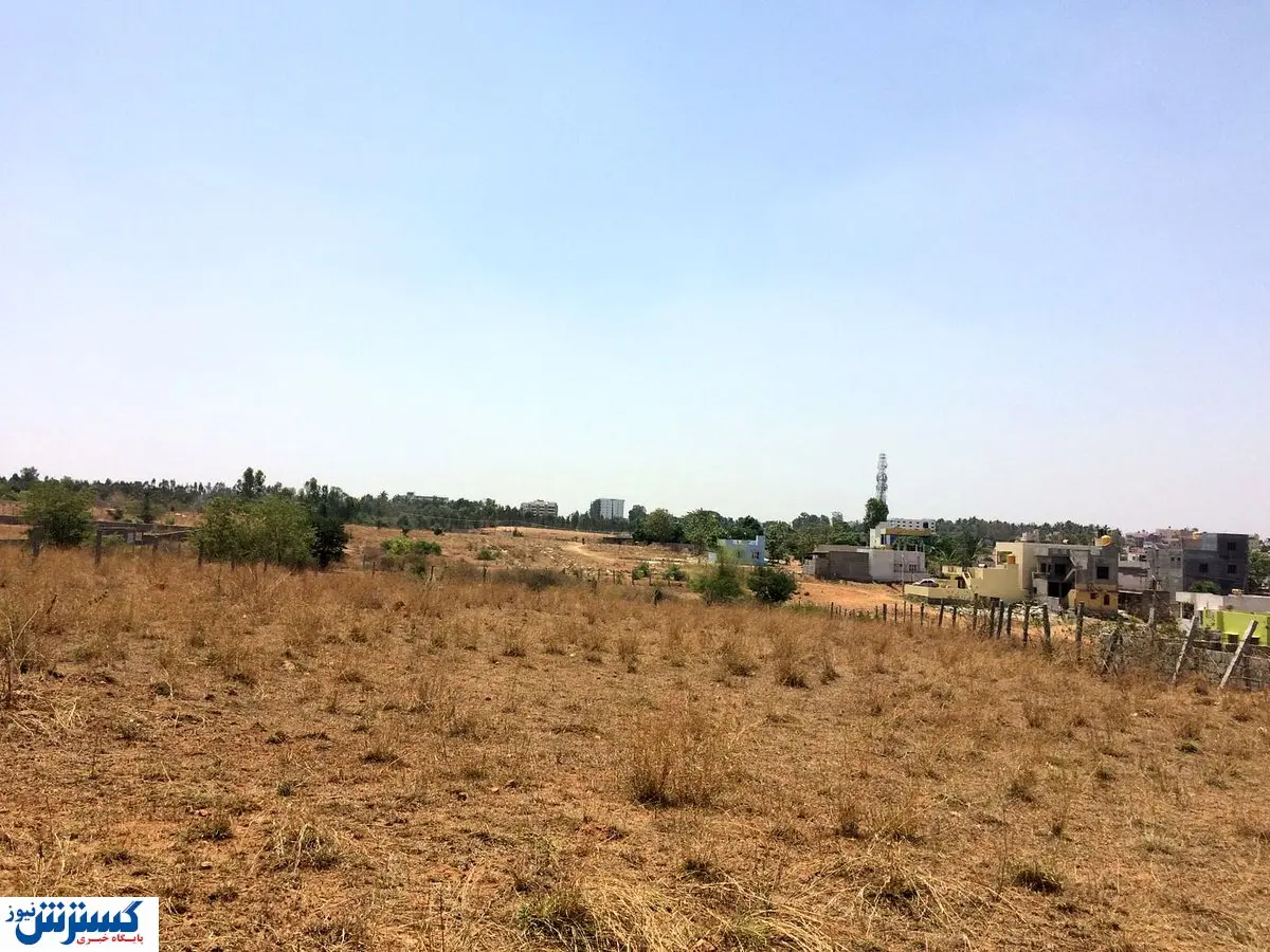 شرایط دریافت زمین رایگان اعلام شد + جزئیات