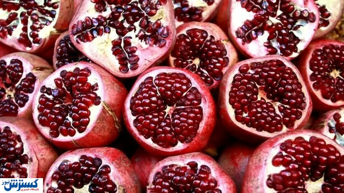 تولید ۱۰ هزار تنی انار در شب یلدا | قیمت انار کاهش پیدا کرد