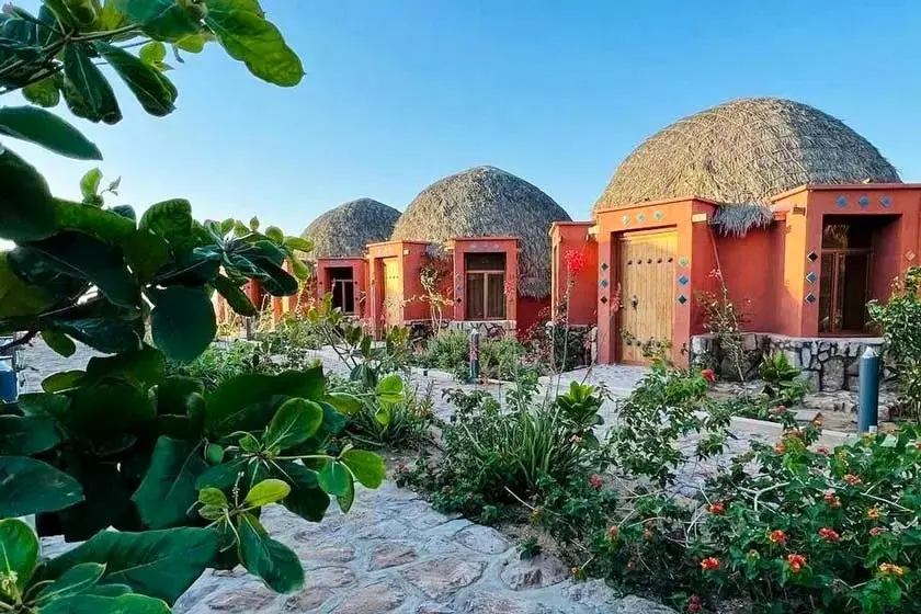 این کسبوکار در نوروز پول پارو کرد | راز درآمدهای نجومی چیست؟