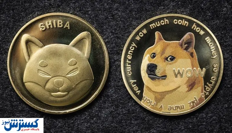 ضربه کاری ایلان ماسک به دوج کوین | آیا DOGE بدون حمایت زنده میماند؟