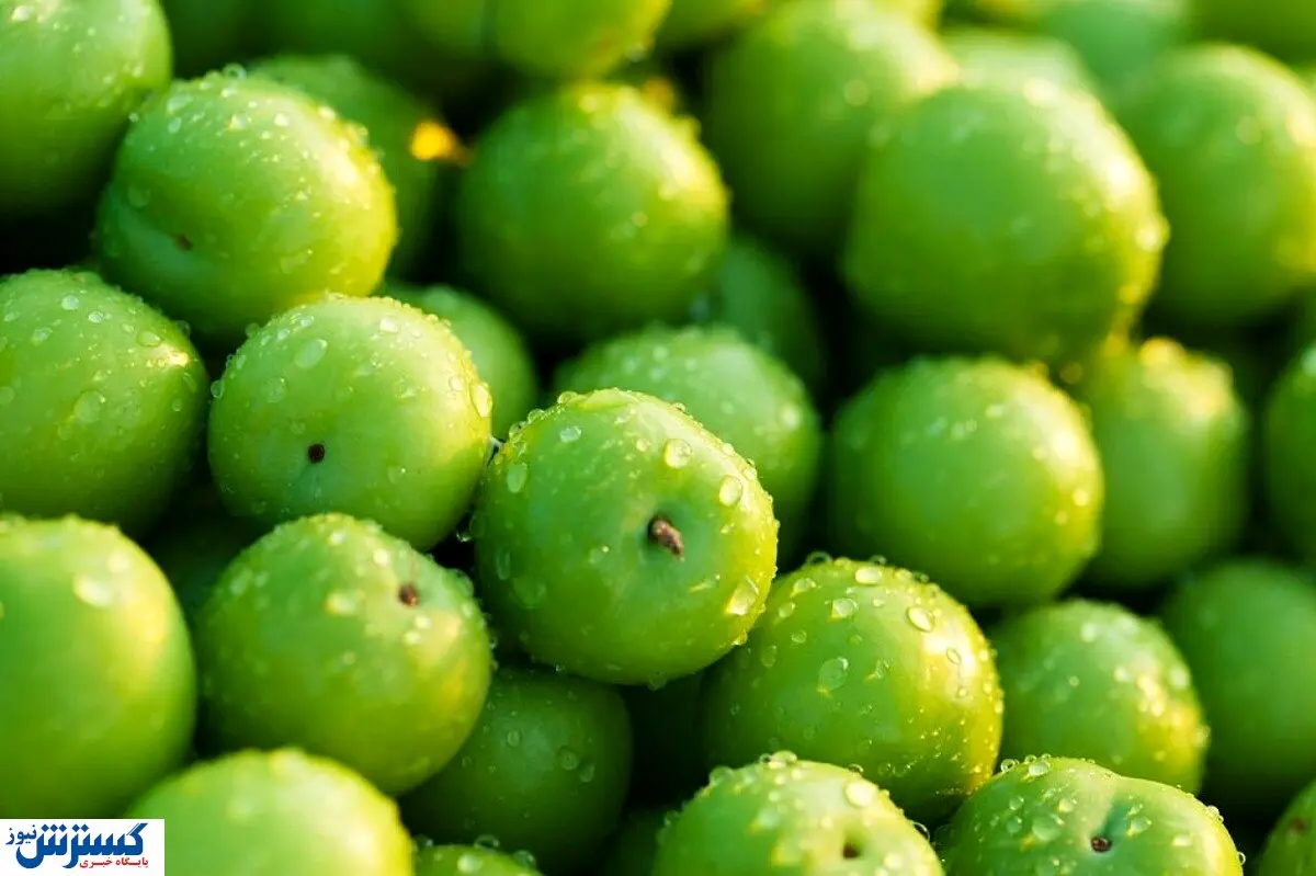 قیمت میلیونی میوه لاکچری در بازار فروردین ماه + عکس