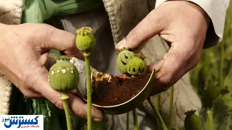 ایران دست افغانستانیها را از پشت بست !