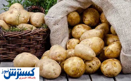 بازار سیب‌زمینی دگرگون می‌شود + فیلم