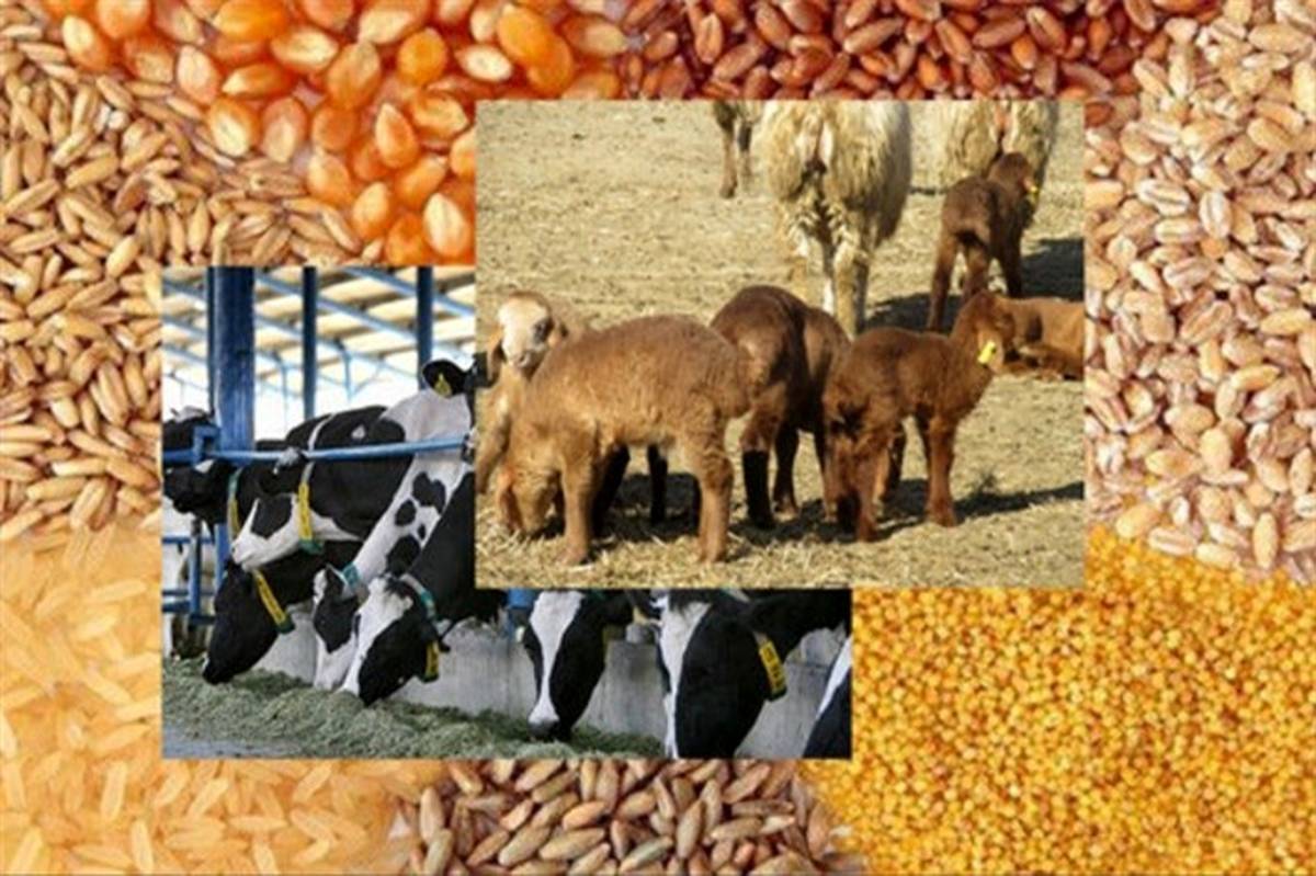 وضعیت قیمت و فروش نهاده های دامی بعد از حذف ارز ترجیحی