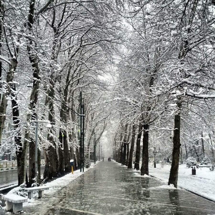 لذت زمستانی در تهران | معرفی اماکن دیدنی پایتخت در فصل پایانی سال