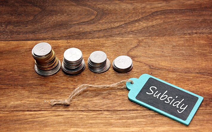 دولت ۶۷۰ میلیون دلار برای بهبود معیشت این افراد اختصاص داد