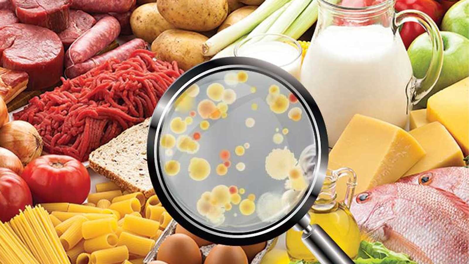 غذا تا چند ساعت بیرون یخچال می‌ماند و چه زمانی خراب می‌شود؟