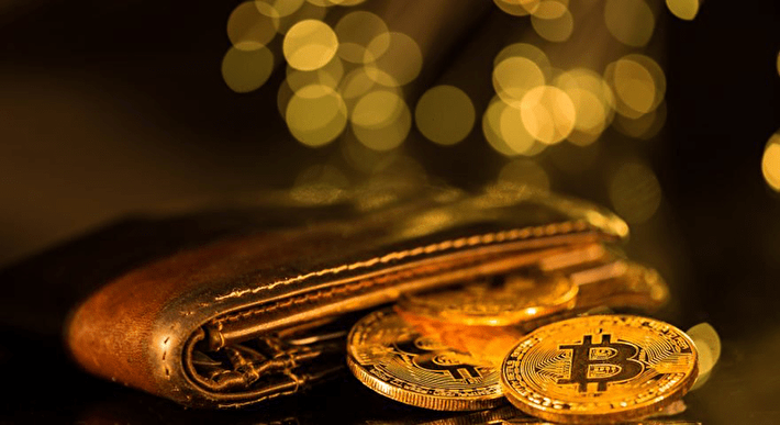 رازهای پنهان قیمت کیف پول ارز دیجیتال | گران‌ها واقعاً امن‌ترند؟