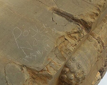 فاجعه در قلب تاریخ ایران / تخت جمشید قربانی یادگاری‌نویسی شد