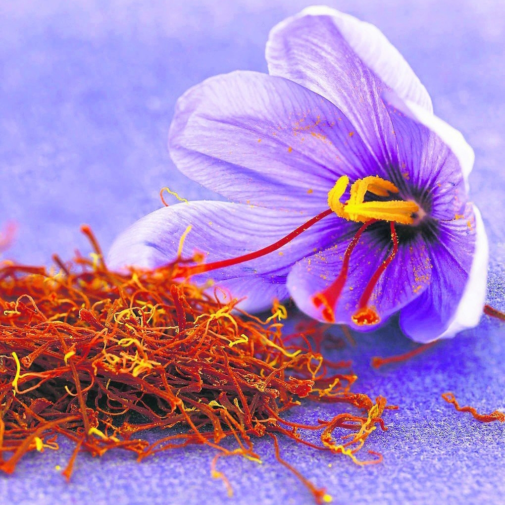 طلای سرخ ایران از سکه افتاد طلای سرخ ایران از سکه افتاد