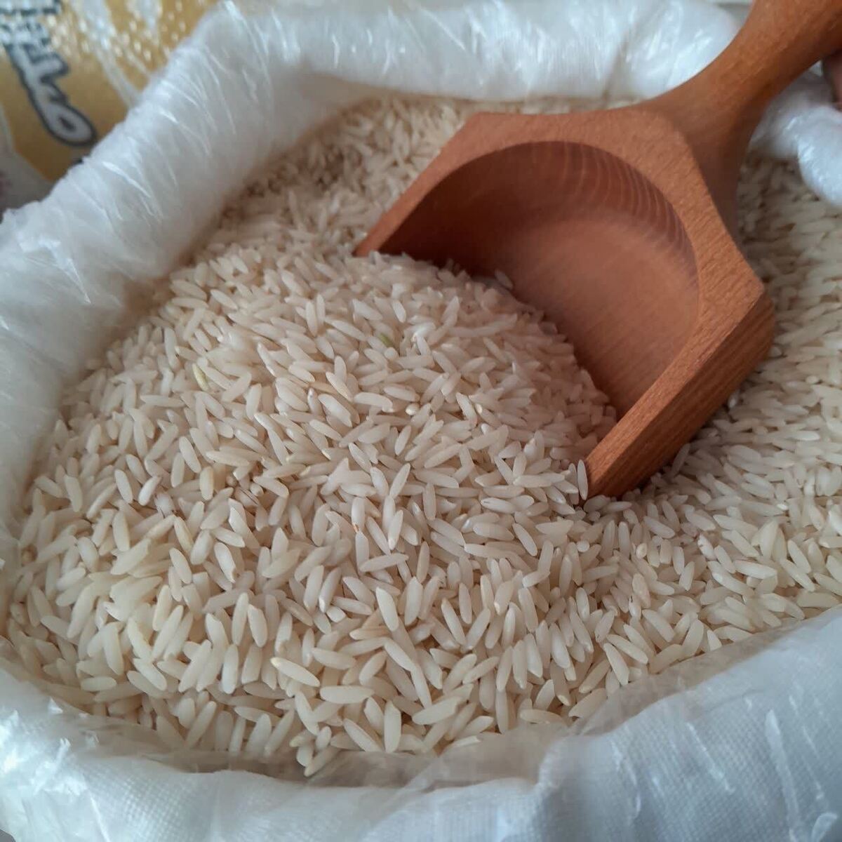 بازار برنج و شکر عقب نشست/ هر کیلو برنج ۱۵۱ هزار و ۵۰۰ تومان