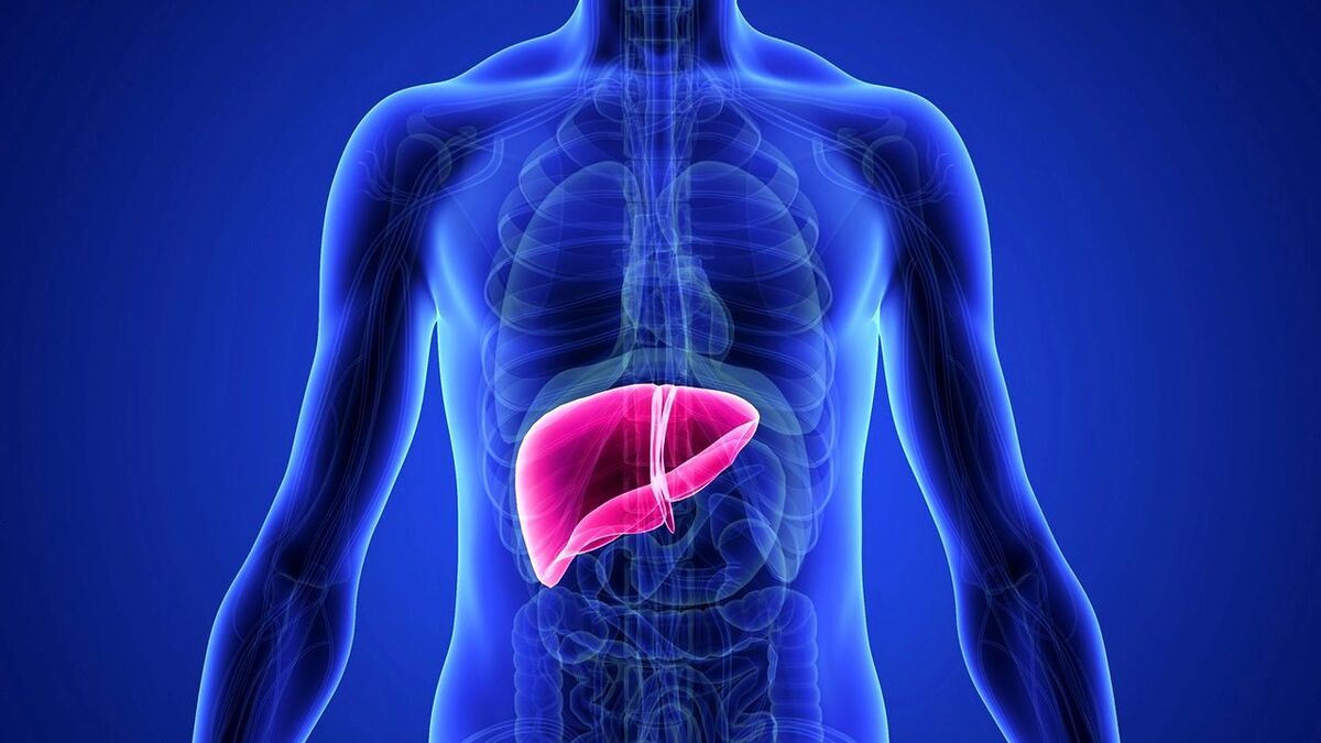 کبد چرب؟ | با چند گام آسان آن را درمان و پاکسازی کنید