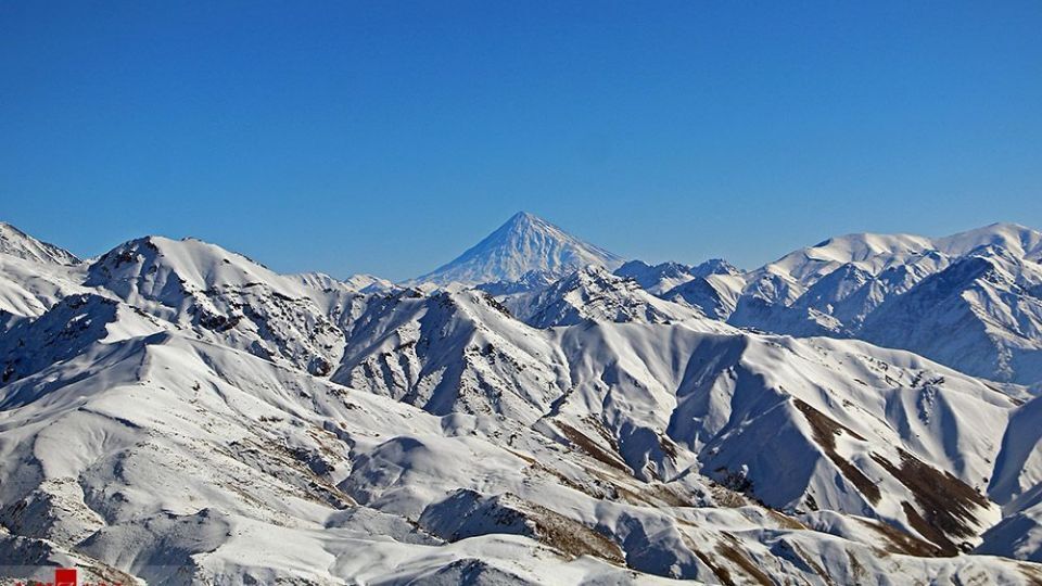 تولیدی تولیدی