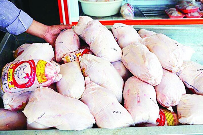 خبر خوش برای بازار؛ قیمت مرغ عقب نشست