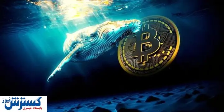 هجوم میلیاردی سرمایهگذاران به بازار ارز دیجیتال