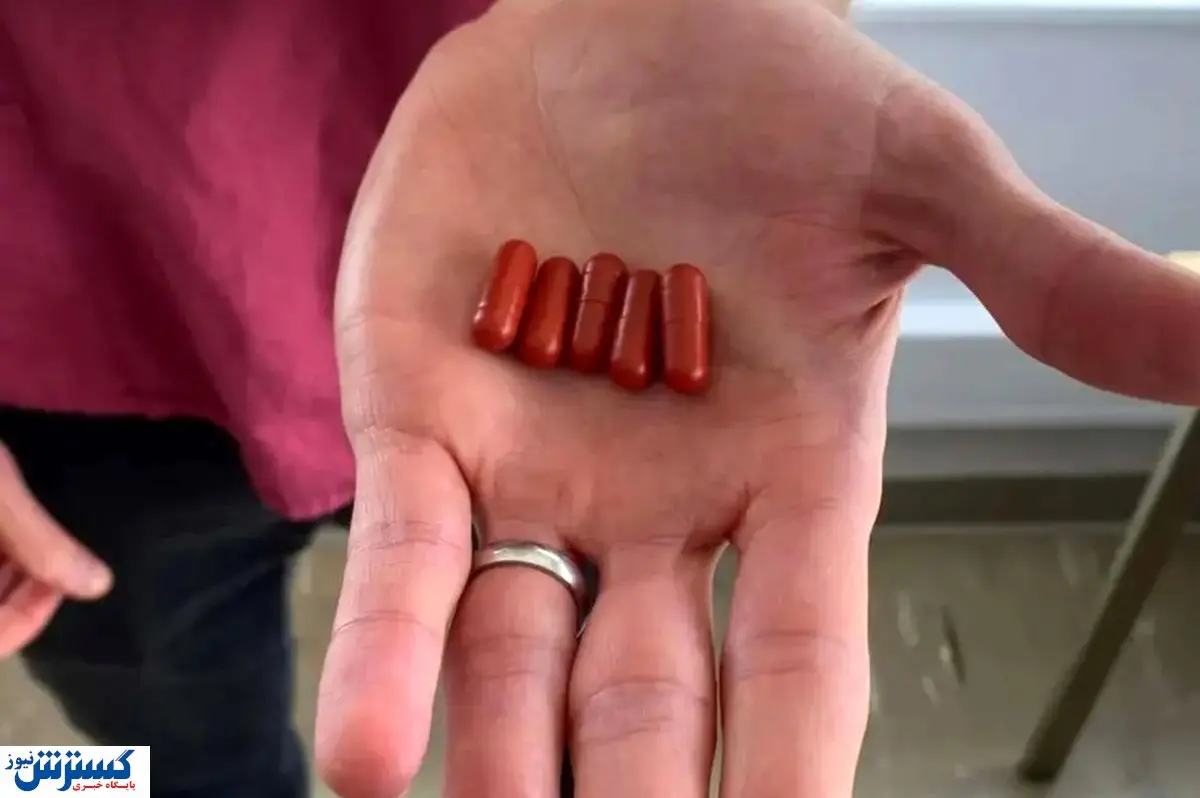 خبر شوکه کننده ؛ مدفوع انسان گرانبها شد ! | قرص مدفوع بیماری درمان کرد