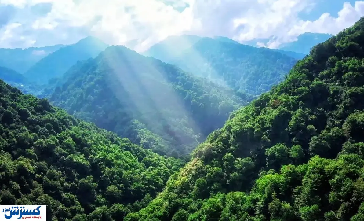 میراث طبیعی کشور به خطر افتاد | درخواست کمک فوری ایران از همه کشورها