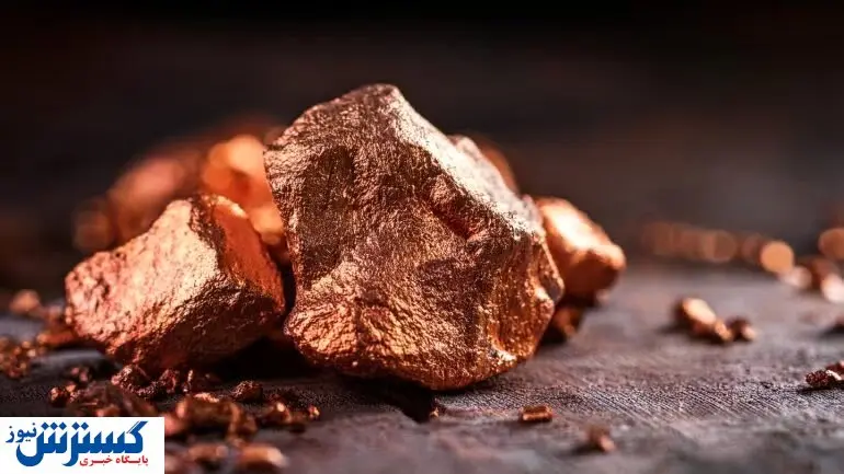 کشف گنجینه ۱۳ میلیونتنی پژوهشگران را شوکه کرد