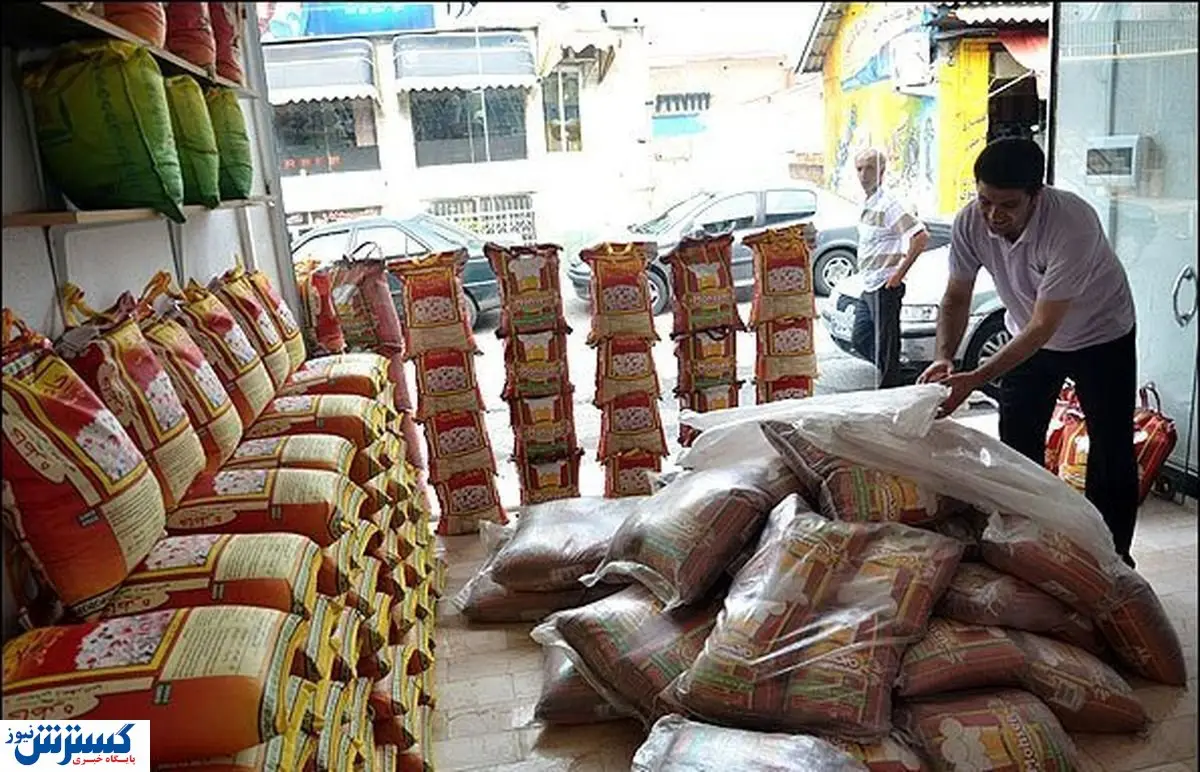 تحولات تازه در بازار برنج از فردا | تجربه تلخ گذشته تکرار میشود؟
