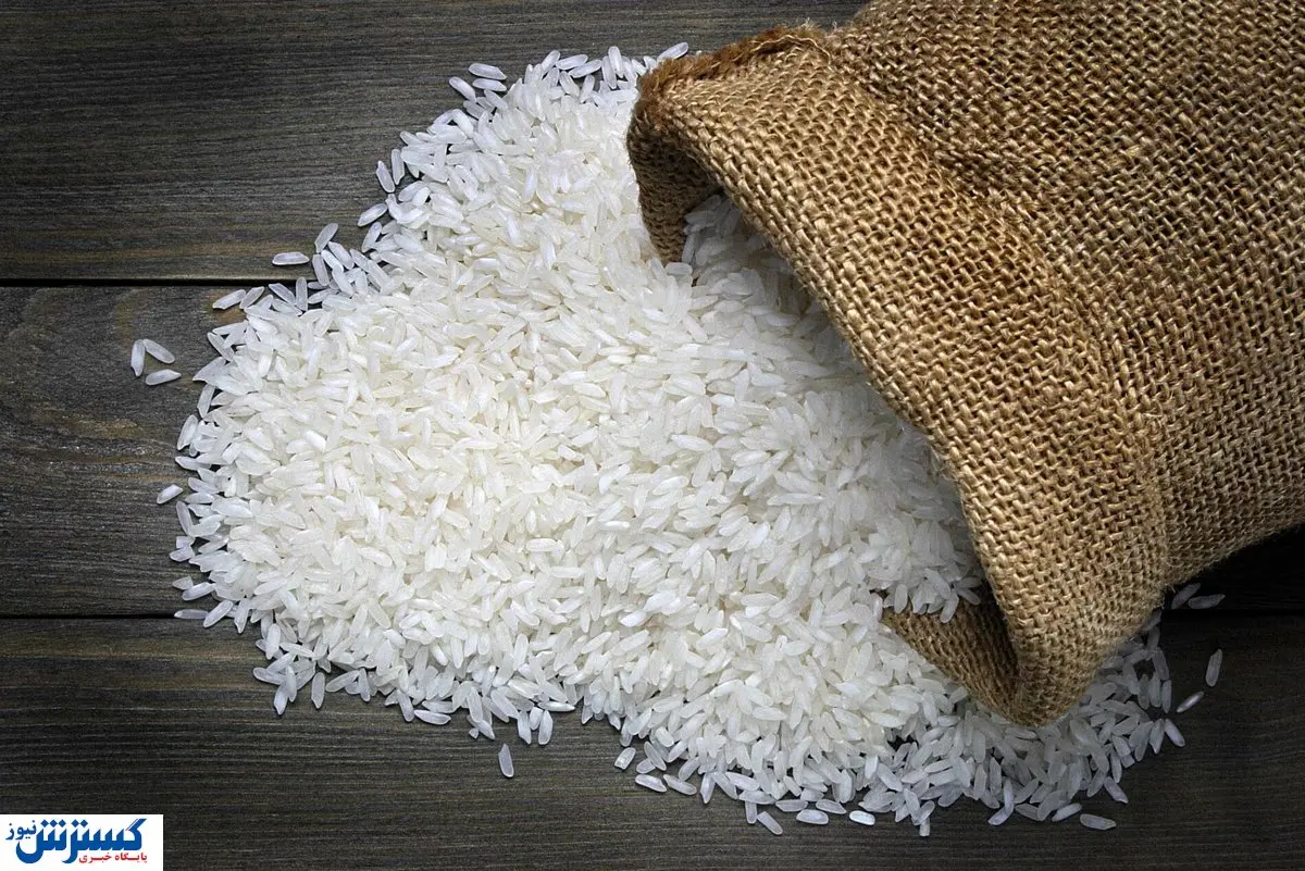 خبر رسمی درباره کاهش قیمت برنج اعلام شد (۲۳ تیر)