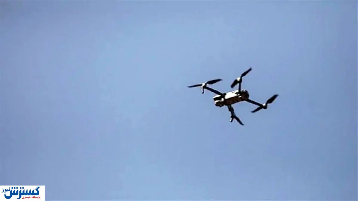 امروز ؛ کشف یک ریزپرنده‌ در آسمان کشور